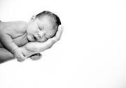 Amazing 2011 wedding & portrait specials