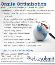 Search Engine Optimization Setup Package