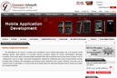 Increase your Website's Visibility by CMS Web Development 