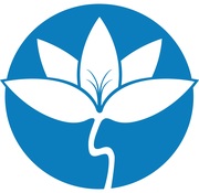 Reflexology @ Waterdown Clinic of Naturopathic Medicine