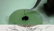 The most advance Eyelash extension training 