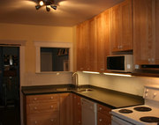 Professional Stain Kitchen Services Canada
