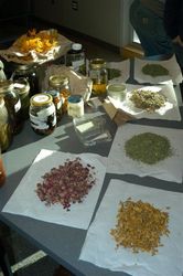 HERBAL MEDICINE-MAKING WORKSHOP