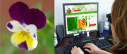 PRACTICAL HERBALIST EXPERIENTIAL PROGRAM  