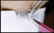 GTA Extensive Eyelash Extension Certificate