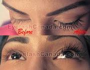GTA Extensive Eyelash Extension Training 