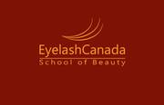 ONLINE Eyelash training for 199$ only