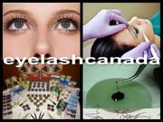 Inexpensive Online Eyelash Extensions Training Course