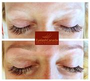 Eyelash Canada Intensive Online Eyelash Extensions Training