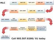 Project management & SAP Training