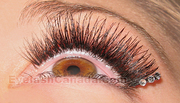 February 7 - Eyelash Extension Training