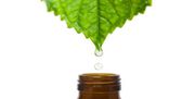 Naturopathic medicine on toronto
