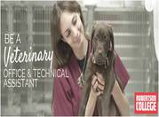 BECOME A VETERINARY OFFICE ASSISTANT