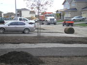 PAVING AND INTERLOCK