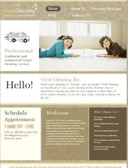 Professional Upholstery & Carpet Cleaner Services Toronto/GTA
