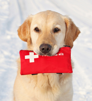 Animal hospital Langley – WalnutGroveAnimalClinic Langley