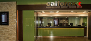 Ottawa Currency Exchange