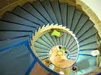 Refinishing Hardwood Floors Toronto