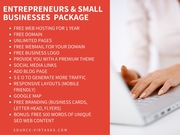 Web Plans for $300 No hidden Fess No Extra Charges Virtual Services for as low as $10