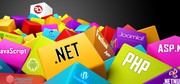 Web Development,  Web Designing,  SEO