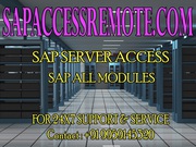 SAP Ides ACCESS Services