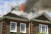 Professional Mold Removal Toronto