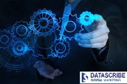 Custom Web Development Services| Website Development Company India