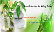 Best Ayurvedic kidney Failure treatment in Ayurveda