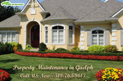 Property maintenance Guelph
