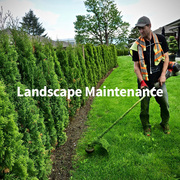 Get Quality Chilliwack Landscape Maintenance
