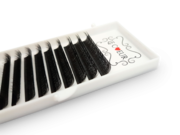 Lash Extensions 