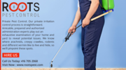 Roots Pest Control: Lowest,  Cheapest Price in Canada