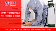 Pest Exterminator in Canada | Roots Pest Control