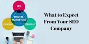 Starting Your Websites – These Trends Will Help You Be On Top