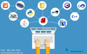 Top Online Reputation Management Company in Edmonton