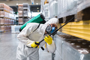 Best Pest Control Services near me at affordable price