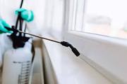 Pest Control Services Toronto for Home and Commercial  
