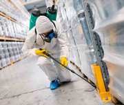 Pest Control Service Hamilton for Home and Commercial  