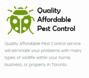 Quality Affordable Pest Control