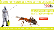 Roots Pest Control