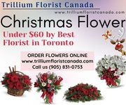 Christmas Flower Canada 2019 Under $60