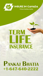 Insurance Agent in Ontario