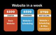 Website in a week. 