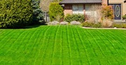 Toronto GTA - Grass cutting service