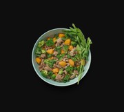 Cooked dog food toronto