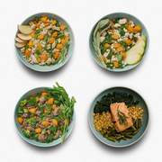 Gently cooked dog food