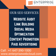 Web Design Services In Toronto