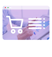 custom ecommerce development service provider company