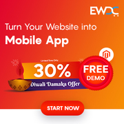 Turn your website into mobile app