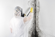 Hire Best Restoration Company for Water & Flood Damage Services